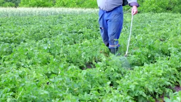 Patates Mahsulüne Böcek Ilacı Uygulayan Bir Çiftçi Tarımda Kimyasalların Kullanımı — Stok video