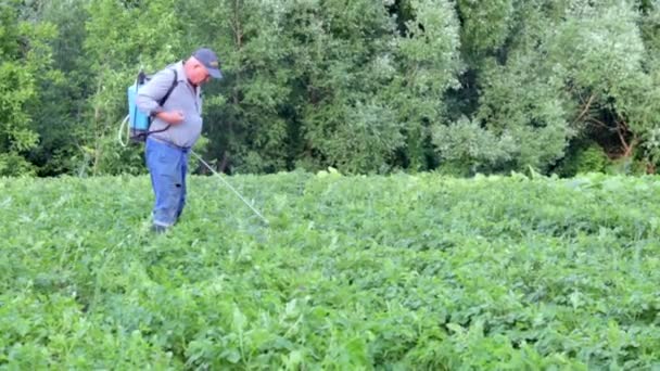 Agricultor Que Aplica Insecticidas Cultivo Patatas Uso Productos Químicos Agricultura — Vídeos de Stock