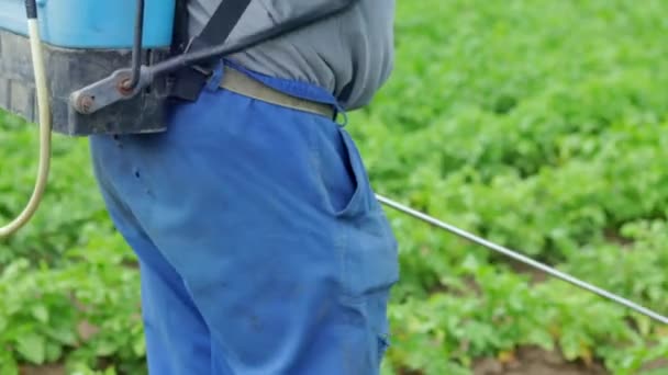 ジャガイモの作物に殺虫剤を適用する農家 農業における化学物質の使用 真菌感染症や昆虫と戦う 男は手の噴霧器でジャガイモのプランテーションに農薬を散布する — ストック動画