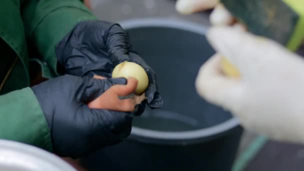 Frau Kocht Kartoffelschälen Freien Auf Dem Land Edelstahltopf Mit Rohen — Stockvideo