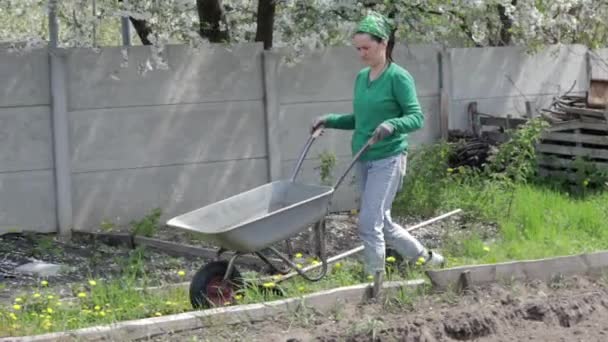 一位女园丁用泥土或堆肥填满了一辆灰色金属手推车 秋天前在后院室外季节性花园清扫 一辆满载杂草和树枝的金属单轮车 — 图库视频影像