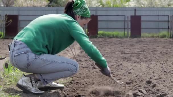 Μια Γυναίκα Καθαρίζει Ζιζάνια Στον Κήπο Ανοιξιάτικο Καθάρισμα Στη Φάρμα — Αρχείο Βίντεο
