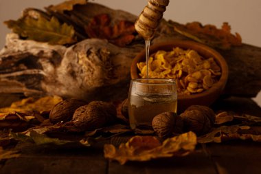 fındıklı ve mısır gevrekli bal