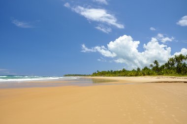 Brazil, Taipu de Fora, beach clipart