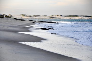 Brasil - Praia de Pititinga (Natal)