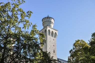 Almanya neuschwanstein Şatosu