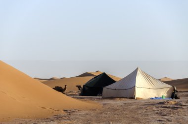 Morocco, Draa valley, tents and dromedaries clipart