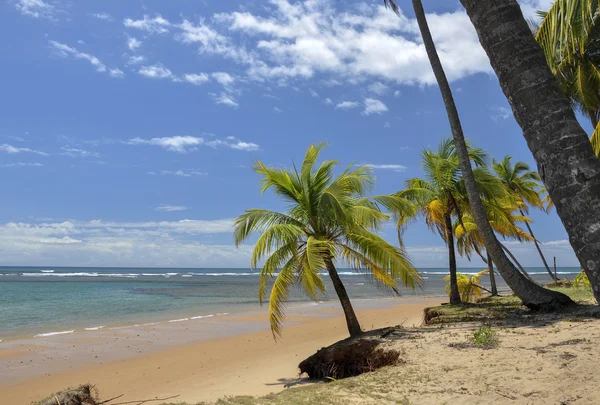 Taipu de för en, brasil — Stockfoto