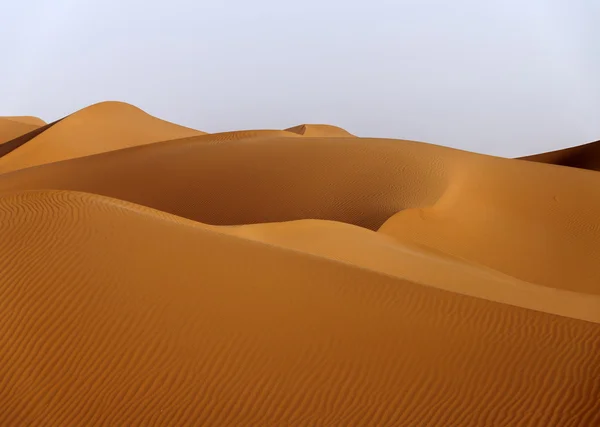Hamada du Draa, deserto de Marrocos — Fotografia de Stock