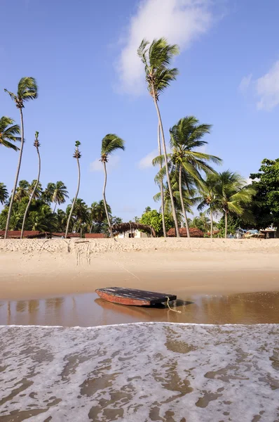 Pititinga (RN Brasil) jangada na praia — Fotografia de Stock