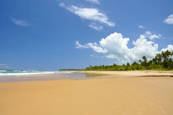 Brazylia, taipu de Beach — Zdjęcie stockowe