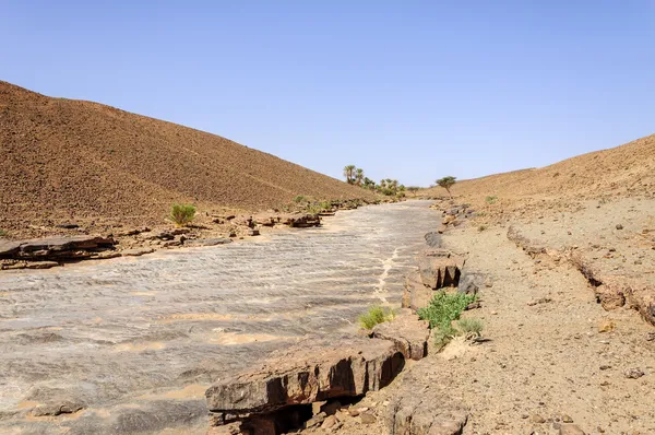 Morocco, Draa valley, Stone river — Stock Photo, Image