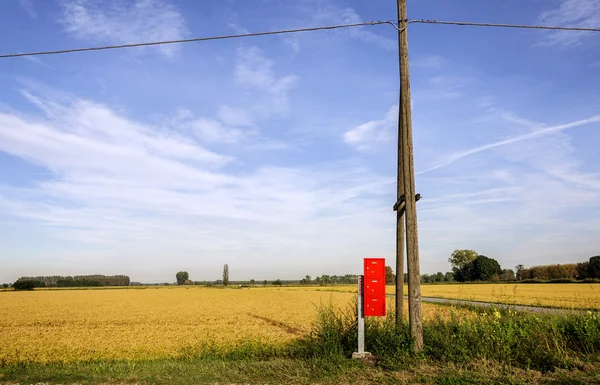 Lomellina (Noord Italië) rijst veld met brievenbus — Stockfoto