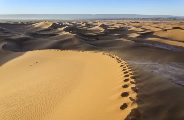 Hamada du draa Maroko poušť — Stock fotografie
