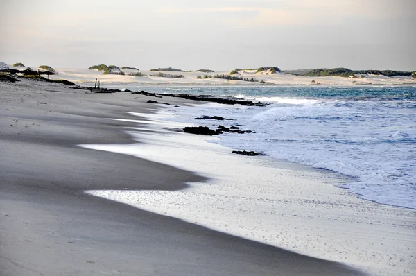 Brasil - praia de pititinga (Geburtsort)) — Stockfoto