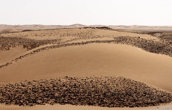 Hamada du Draa Morocco desert — Stock Photo, Image