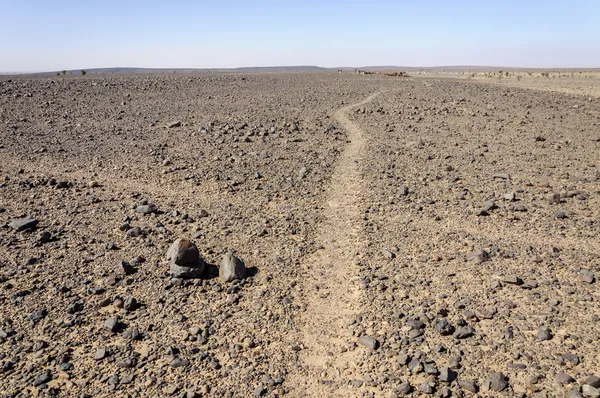 Morocco, Hamada du Draa, path crossing — Stock Photo, Image