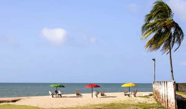 Pititinga (RN, Brazil) Beach with beach umbrellas — Stock Photo, Image