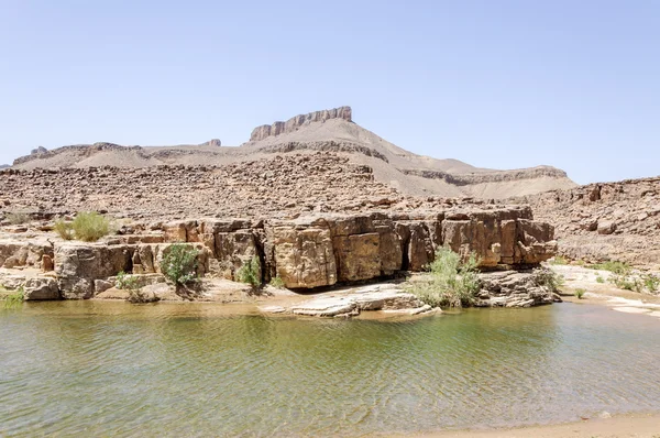 Morocco, Hamada du Draa, pond — Stock Photo, Image