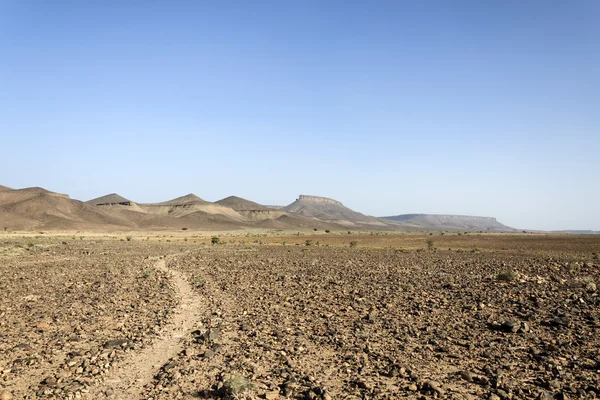 Maroko, Hamada du Draa, path — Stok Foto