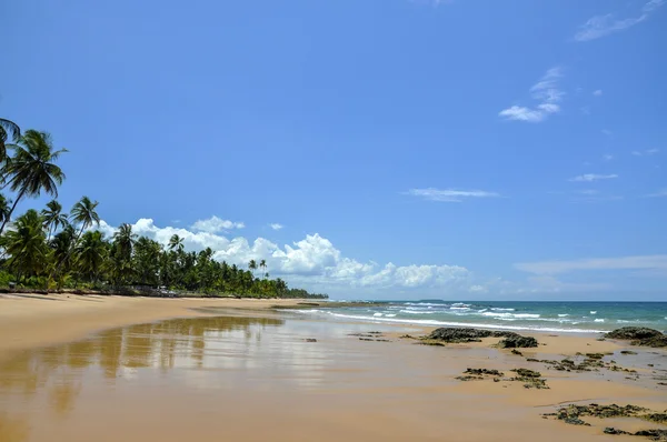 Brazílie (Taipu de Fora) pláž — Stock fotografie