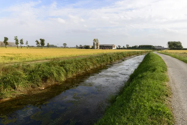 Italië (bereguardo) boerderij — Stockfoto