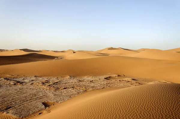 Sanddyner, hamada du draa, Marocko — Stockfoto