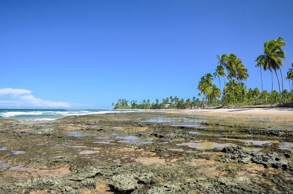 Praia na maré baixa (Brasil ) — Fotografia de Stock