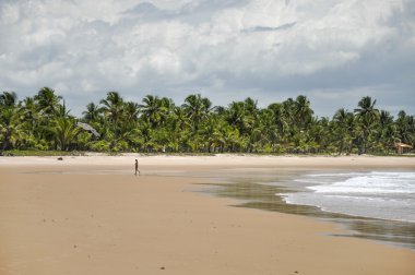 Woman walking on the beach (Taipu de Fora, Brazil) clipart