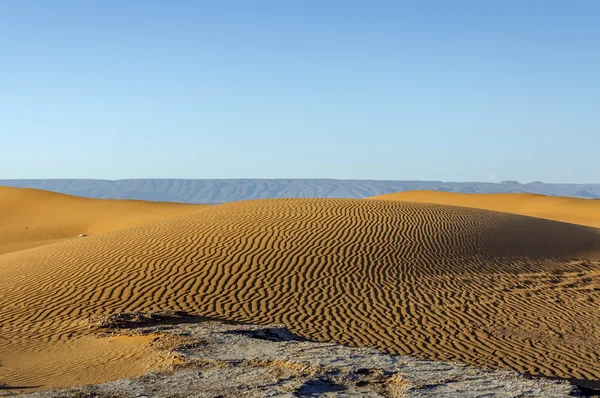 Dunas, Hamada du Draa, Marruecos — Foto de Stock