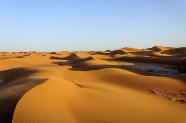 Dunes, hamada du Dragan, morocco