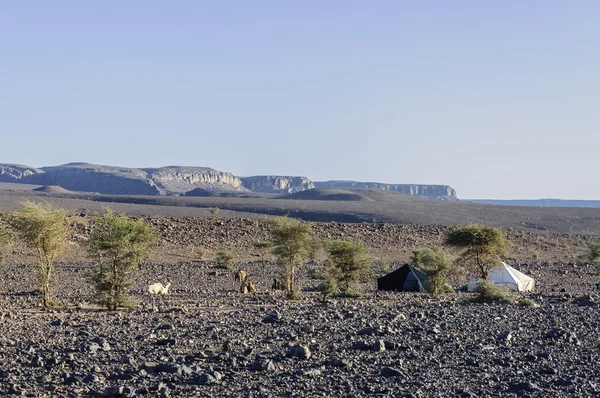 滨田杜德拉 (摩洛哥石沙漠，摩洛哥的黑色和白色帐篷) — 图库照片