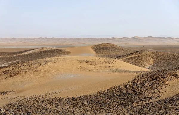 Duny, hamada du draa, Maroko — Stock fotografie