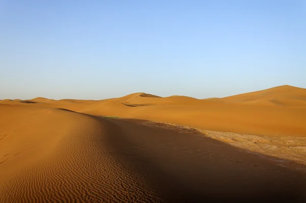 Sanddyner, hamada du draa, Marocko — Stockfoto