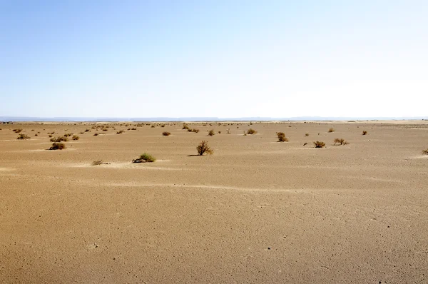 Sanddyner, hamada du draa, Marocko — Stockfoto