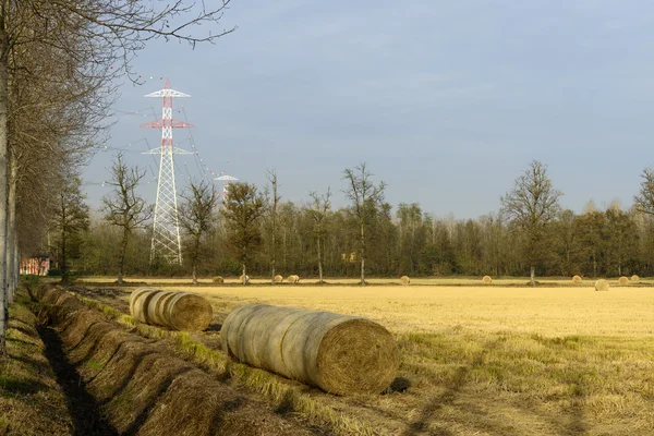 Linii elektroenergetycznych (zerbolo, północy Włoch) — Zdjęcie stockowe