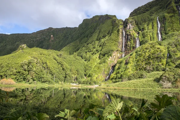 Cascadas en la isla de Flores, archipiélago de las Azores (Portugal) ) — Foto de Stock