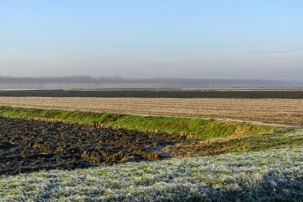 Geerntetes Reisfeld im Herbst, Lomellina (Norditalien)) — Stockfoto