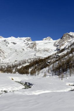 piani di olacaktır ve monte rosa