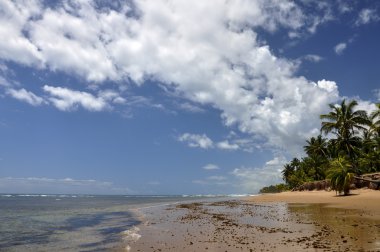 Beach of Taipu de Fora, Bahia (Brazil) clipart