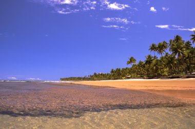 plaj taipu de bir, bahia (Brezilya için)