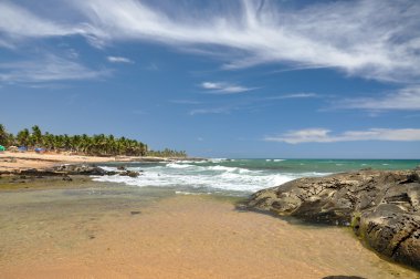 praia Beach forte, salvador de bahia (Brezilya)