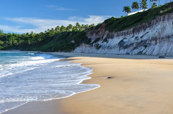 Playa de Pipa, Natal (Brasil ) Imagen De Stock