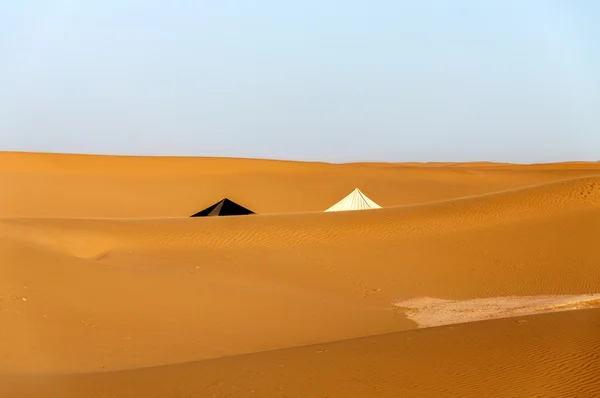 Namioty wśród wydm, w dolinie rzeki Wadi Dara (Maroko) — Zdjęcie stockowe