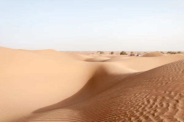 Tendas entre dunas de areia, vale de Draa (Marrocos ) — Fotografia de Stock