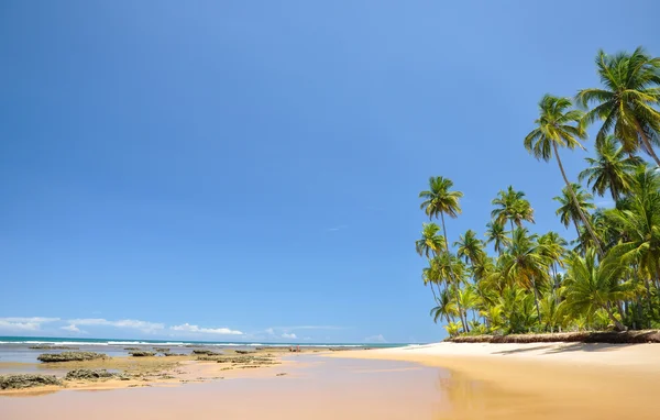 Plaża de taipu dla bahia (Brazylia) — Zdjęcie stockowe