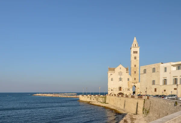 Cattedrale di Trani - Puglia (Sud Italia) ) — Foto Stock