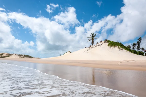 Dunas de areia, Pititinga, Natal (Brasil ) — Fotografia de Stock
