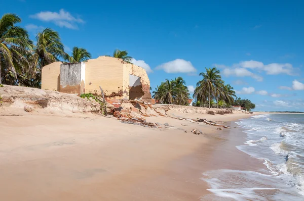 Geërodeerde strand met palmen, pititinga, natal (Brazilië) — Stockfoto