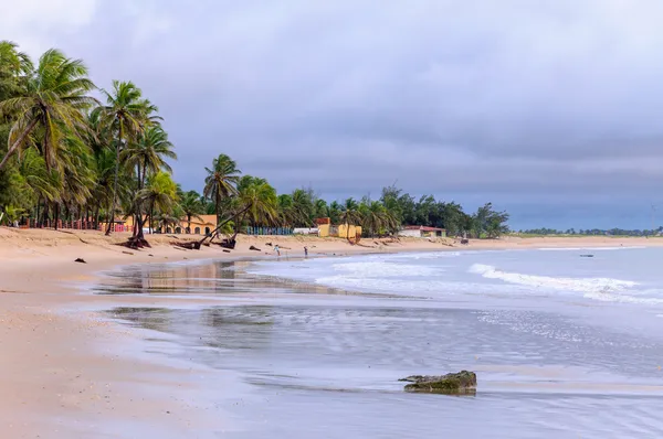 Strand bij eb, pititinga, rio grande norte (Brazilië) Stockfoto